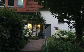 Im Grünen